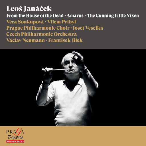 fr 1 day外国黄色大片
